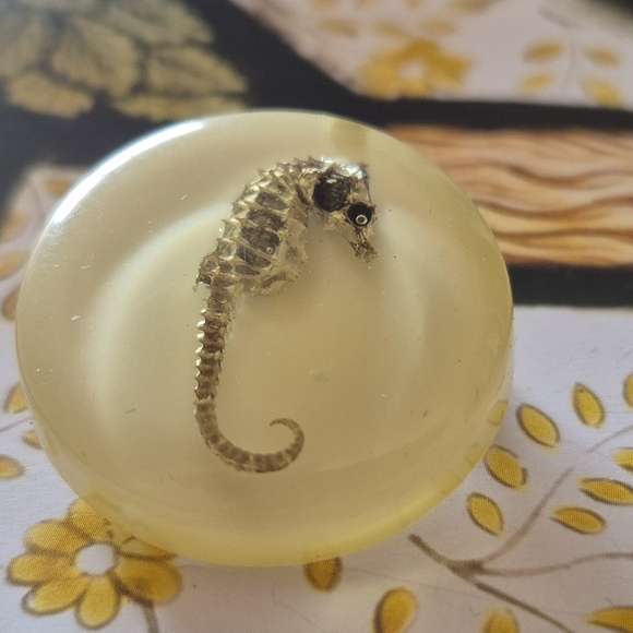 Seahorse Resin Paperweight - Cream - Picture 7 of 7